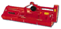 Modello Medium